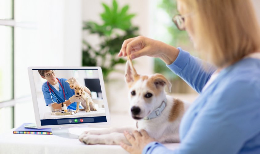 Vet telehealth