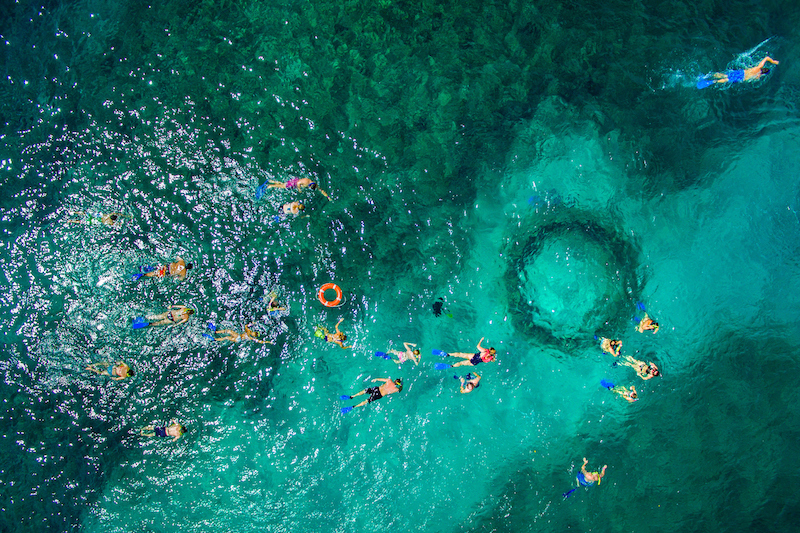 An aerial view of Family Weekend snorkelers at Grenada's Underwater Sculpture Park.