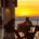 St. George's University campus, sunset view