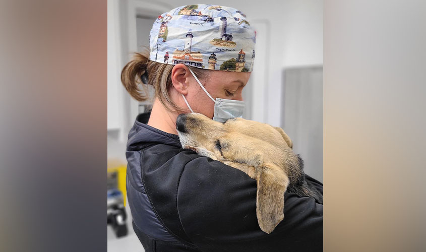 Dr. Regan Schwartz, a 2019 School of Veterinary Medicine graduate.
