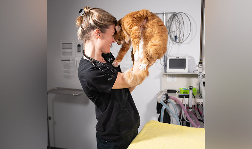Regan Schwartz, a 2019 School of Veterinary Medicine graduate.