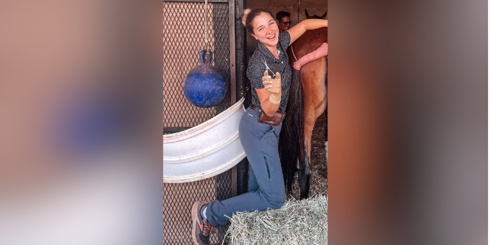 Dr. Cuesta Amado treating a horse