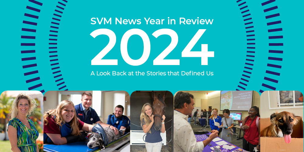 Collage of photos from the top svm stories of 2024