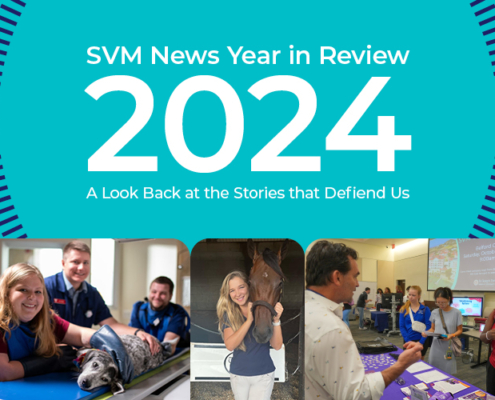 Collage of photos from the top svm stories of 2024