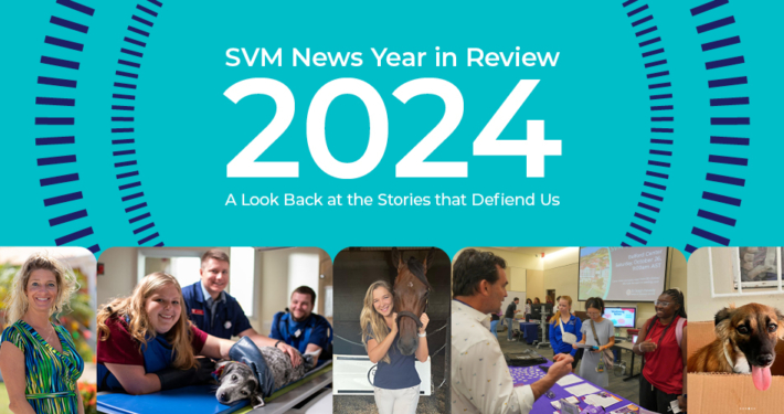 Collage of photos from the top svm stories of 2024